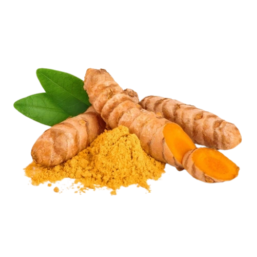 Estratto di radice di curcuma